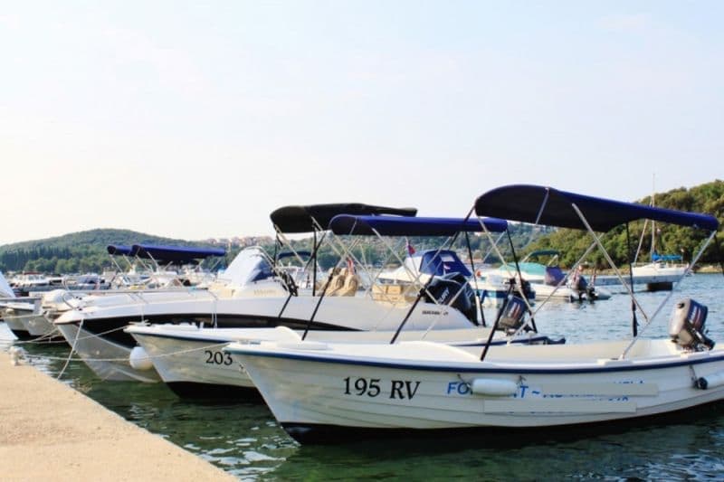 Billet Location de bateau - Inoplast Pasara 4.5 (Motorboat)