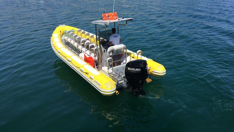 Vanguard TX 860 (Motorboat)