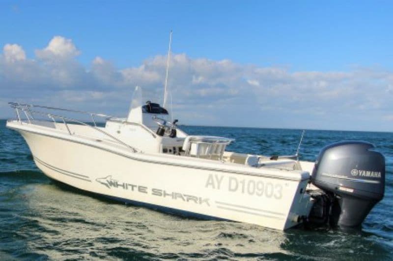 Location de bateau - White Shark 205 (Motorboat)