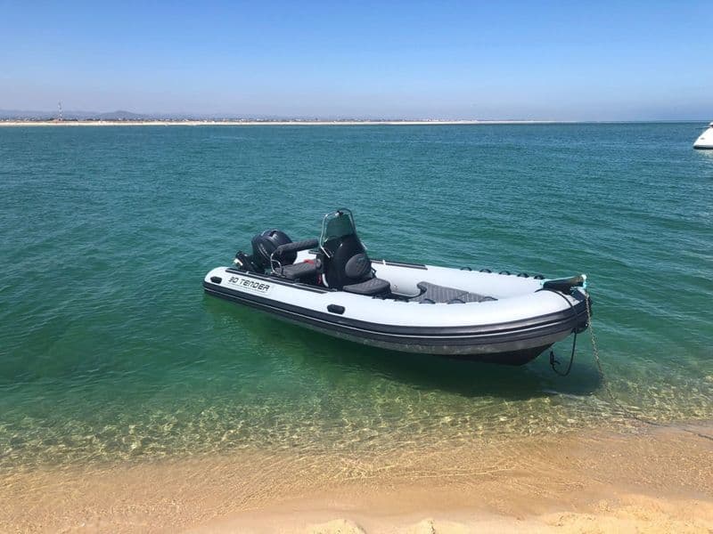 3D Tender Lux 550 (Semi-rigid)