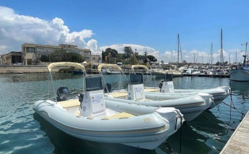 Marel AL100 (Semi-rigid)