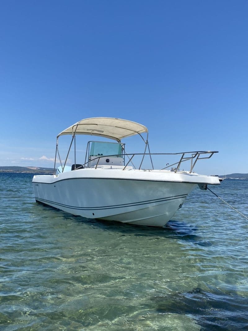 Location de bateau - White Shark 265 (Motorboat)