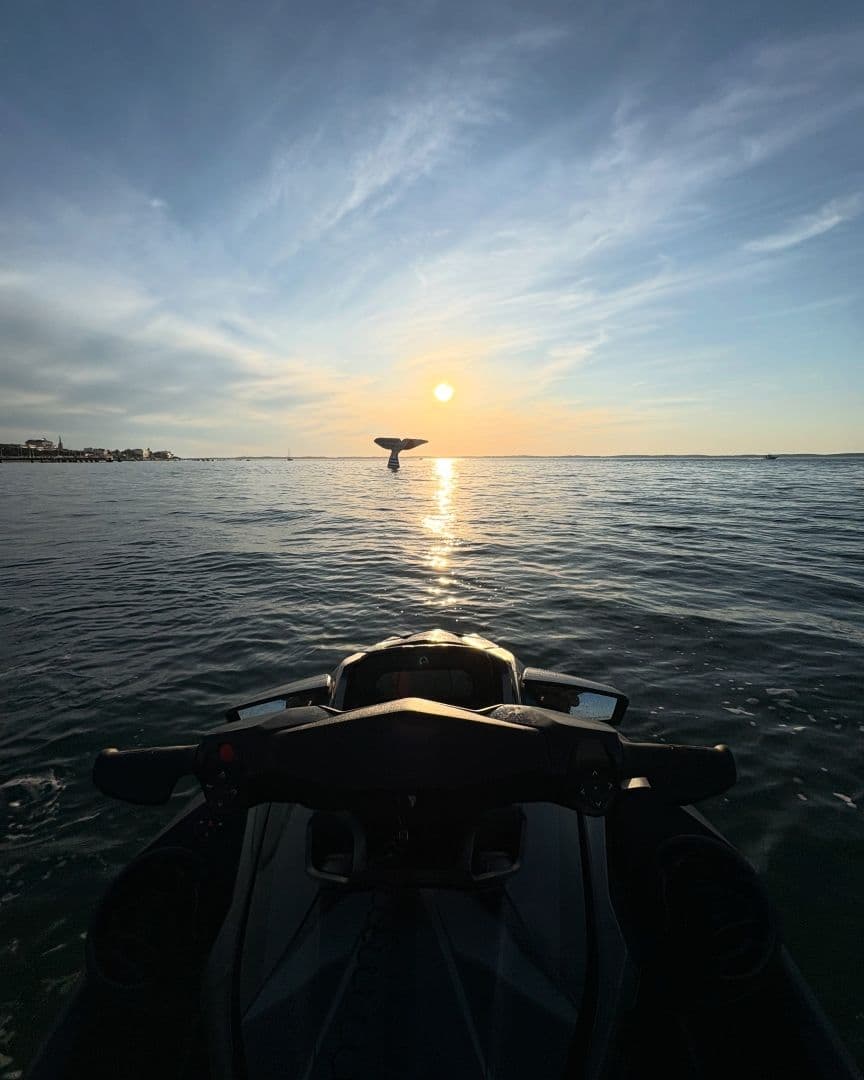 Sea-Doo GTX  (Jetski)