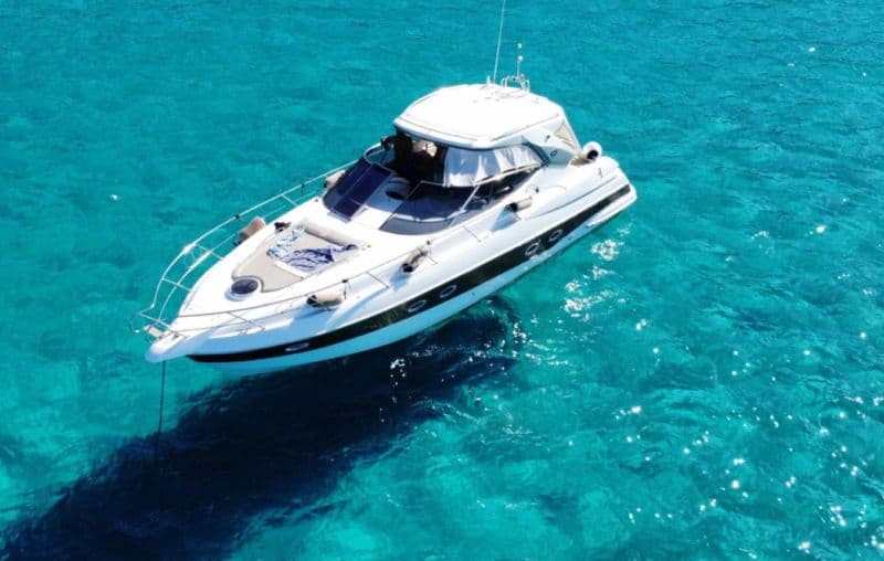 Sessa Marine C42 (Motorboat)