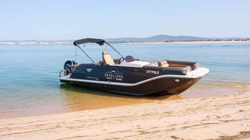 Bayliner Element XR7 (Motorboat)