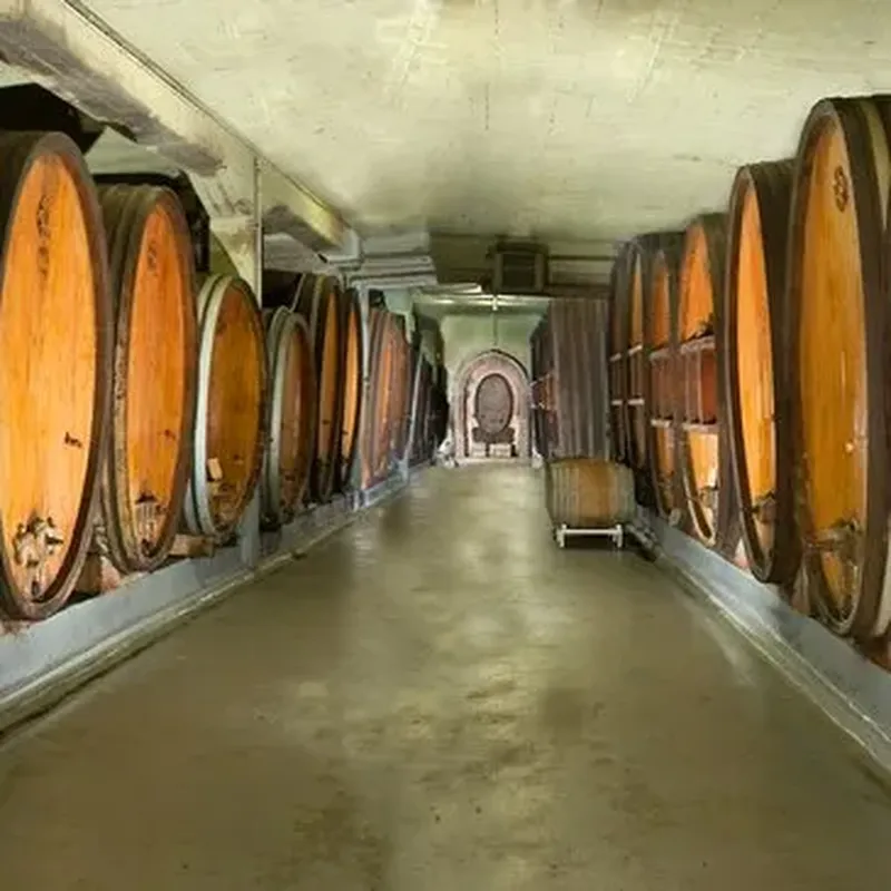 Billet Week-End Œnologique à Obernai