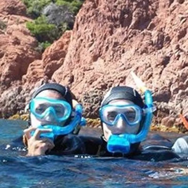 Randonnée Palmée à Fréjus