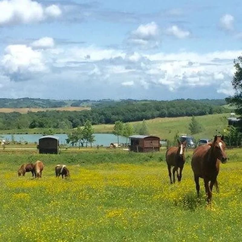 Billet Week-end en Roulotte près d'Auch