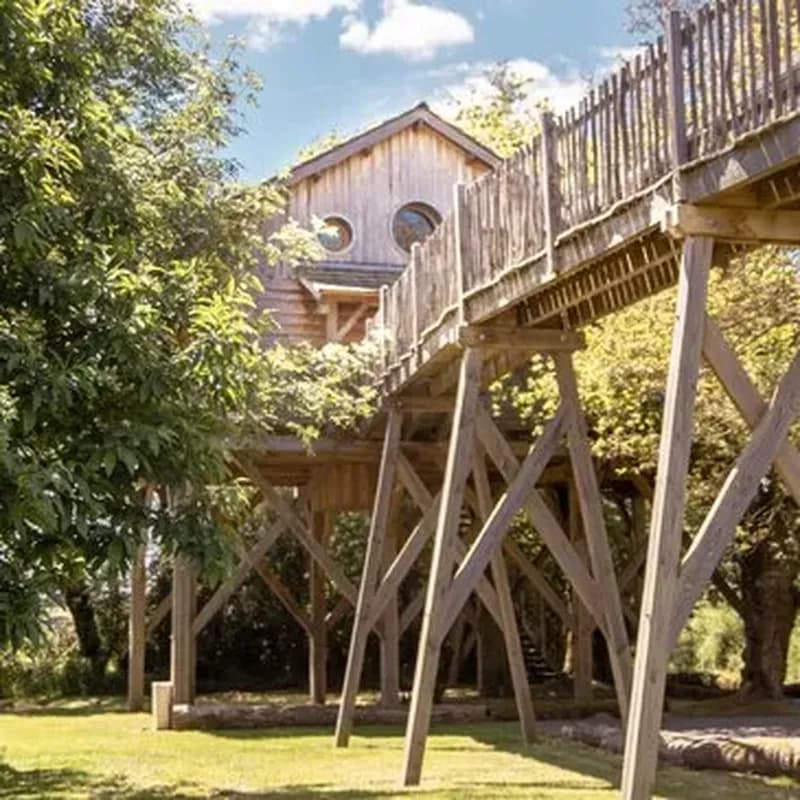 Cabane dans les Arbres avec Spa privatif près de Laval