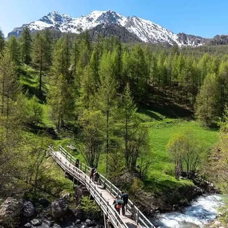 Weekend Stage de Survie à Barcelonnette - Vallée de L'Ubaye