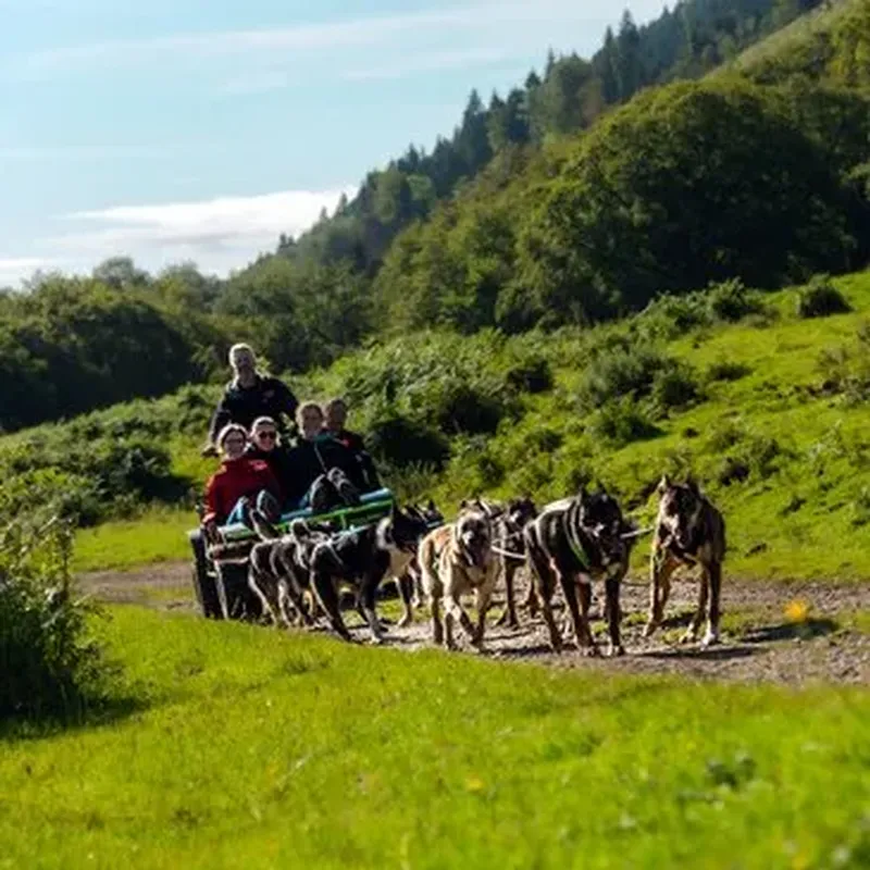 Billet Randonnée en Cani-Kart près de La Mongie