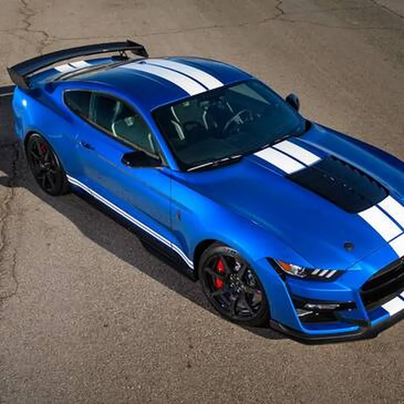 Stage en Mustang Shelby GT500 - Circuit de Magny-Cours
