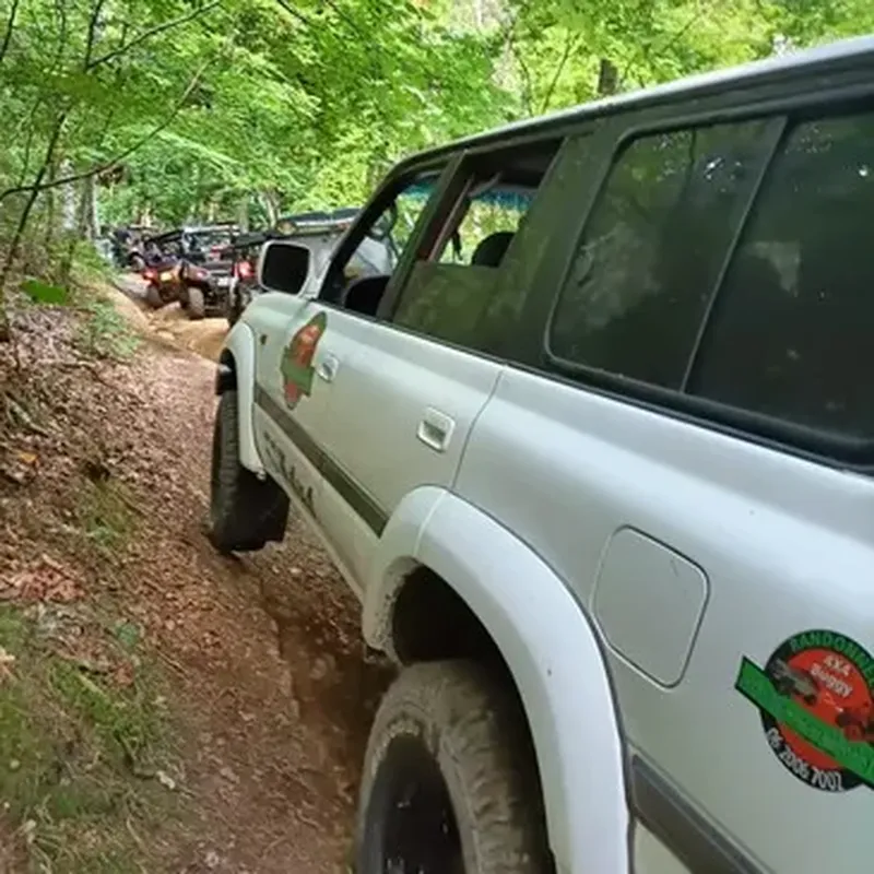 Billet Stage de Pilotage 4x4 à Saint-Nectaire