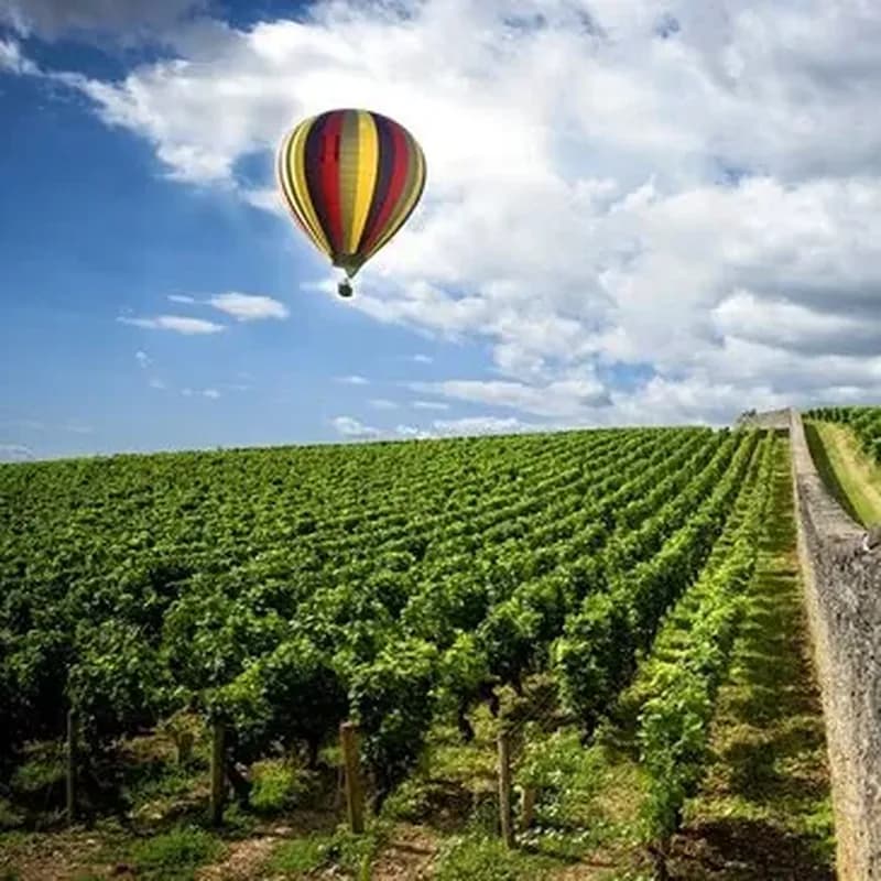 Week end Détente à Beaune et Vol en Montgolfière