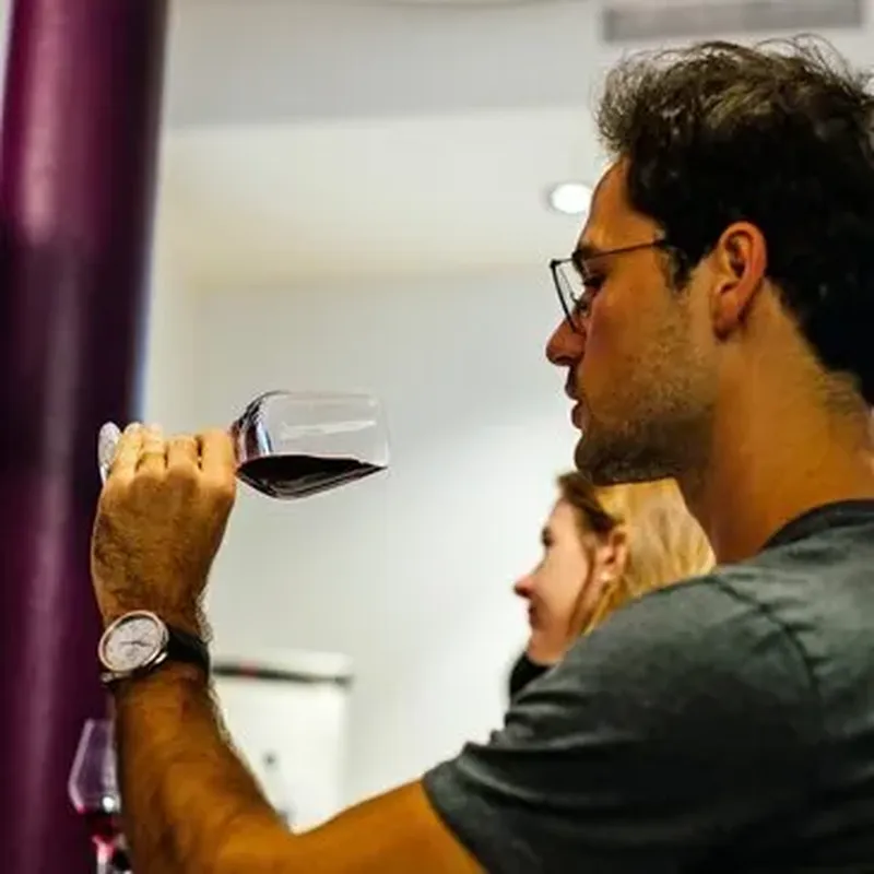 Cours d'Œnologie à Bruxelles