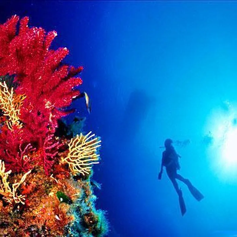 Baptême de Plongée à Port-Fréjus