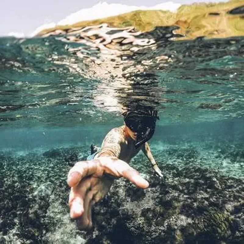 Randonnée Palmée dans le Parc National de Port-Cros