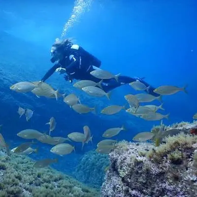 Billet Baptême de Plongée à Calvi
