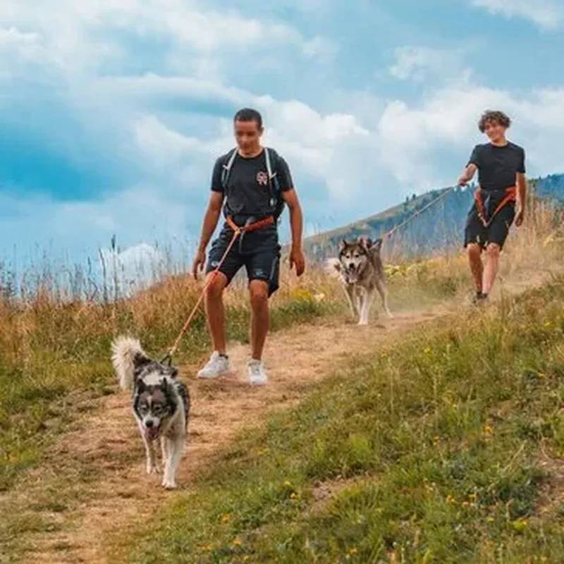 Balade en Cani-Rando à Saint-Sorlin-d'Arves