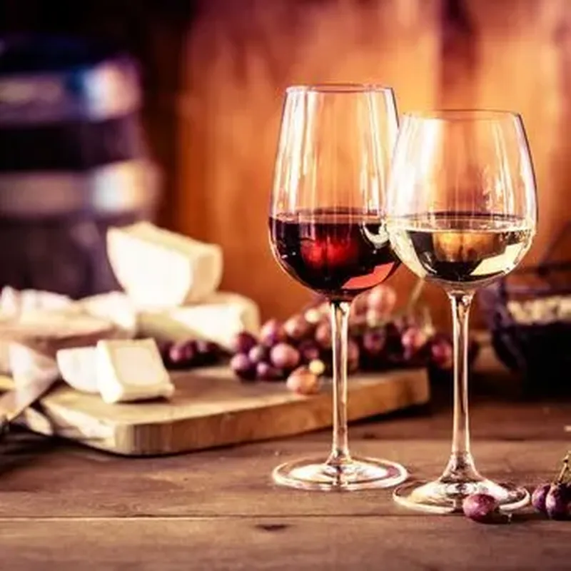 Cours d'Œnologie à Nancy