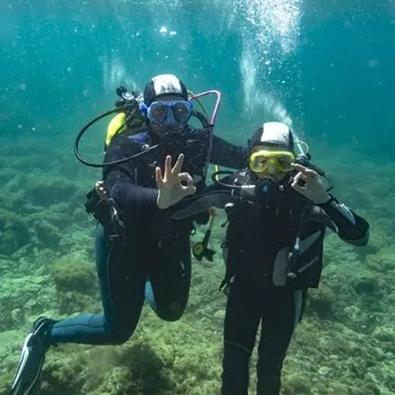 Billet Plongée à Carry-le-Rouet : Calanques de la Côte Bleue