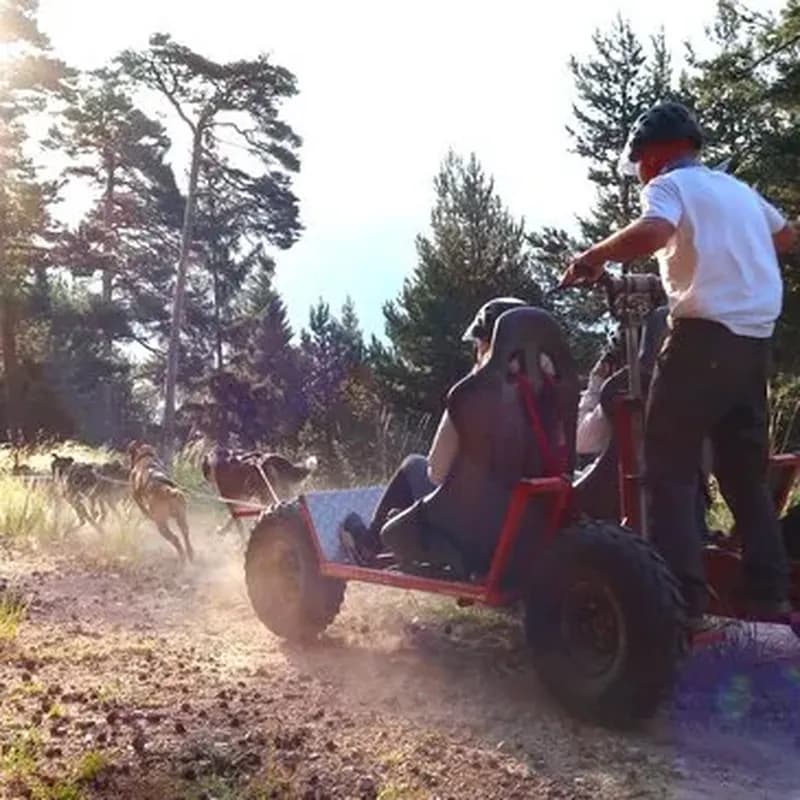 Billet Balade en Cani-Kart à Aussois