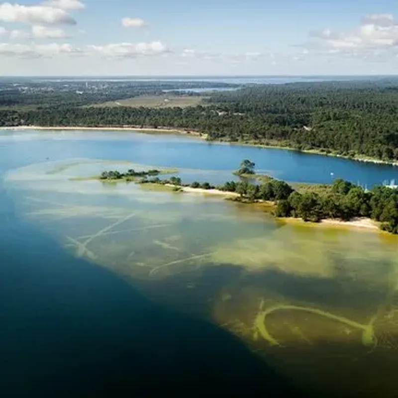 Pilotage d'Hélicoptère ULM à Biscarrosse