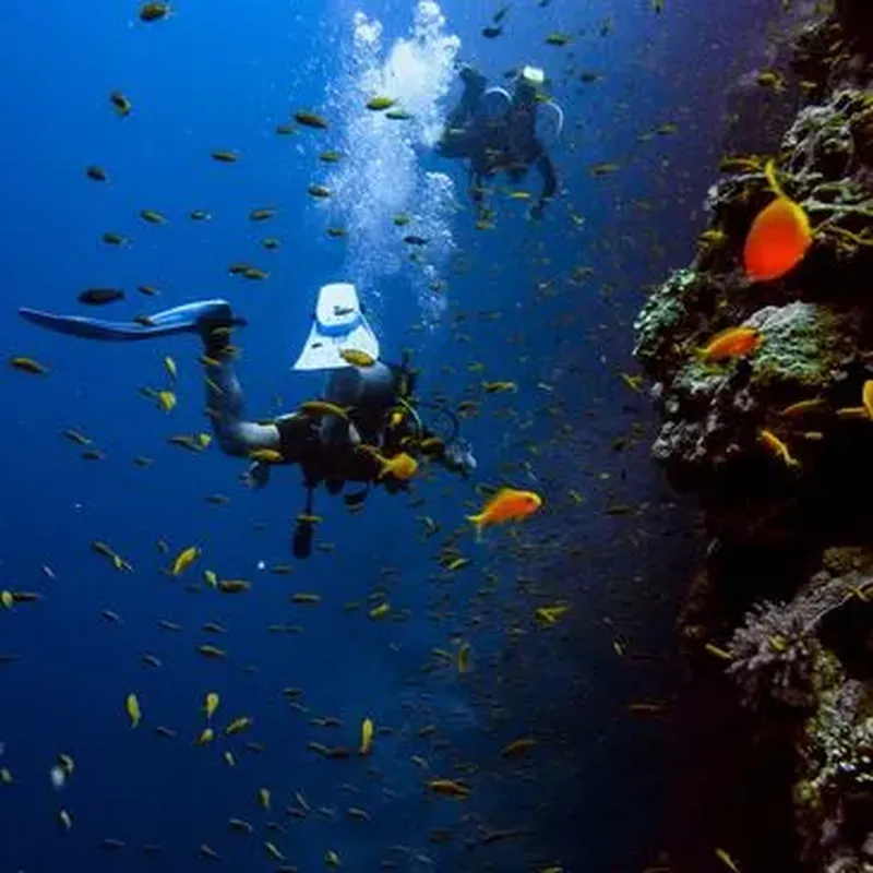 Baptême de Plongée près de Collioure à Argelès-sur-Mer