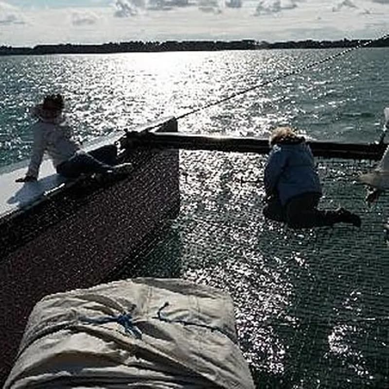 Promenade en catamaran en soirée - îles du Golfe du Morbihan