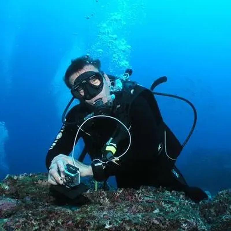 Brevet de Plongée à Carnac - Baie de Quiberon