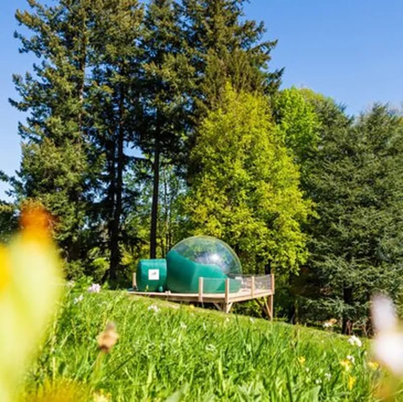 Billet Nuit en Bulle près de Grenoble