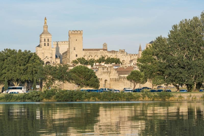 Billet Avignon et le Palais des Papes : Visite guidée à pied