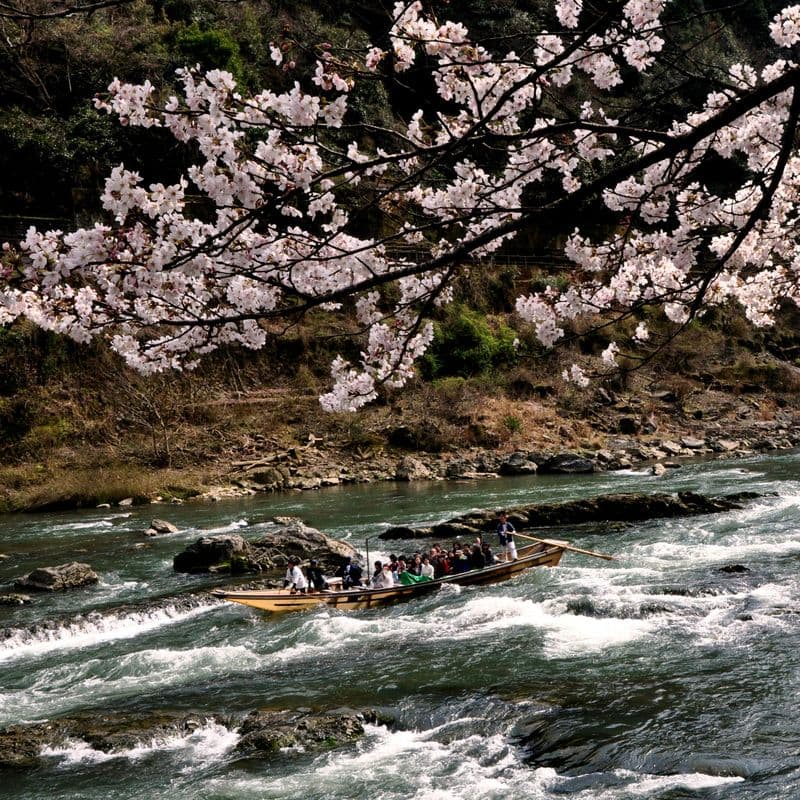 Croisière sur le fleuve Hozugawa