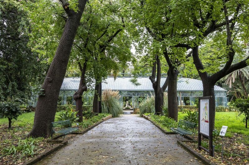 Billet Jardin botanique de Palerme : Billet d'entrée
