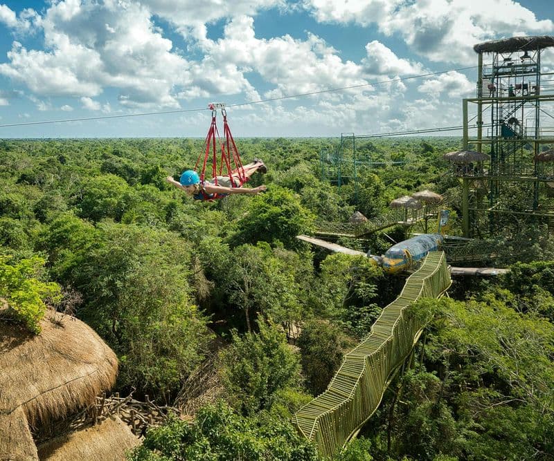 Billet Selvática Parc : Activités de démonstration