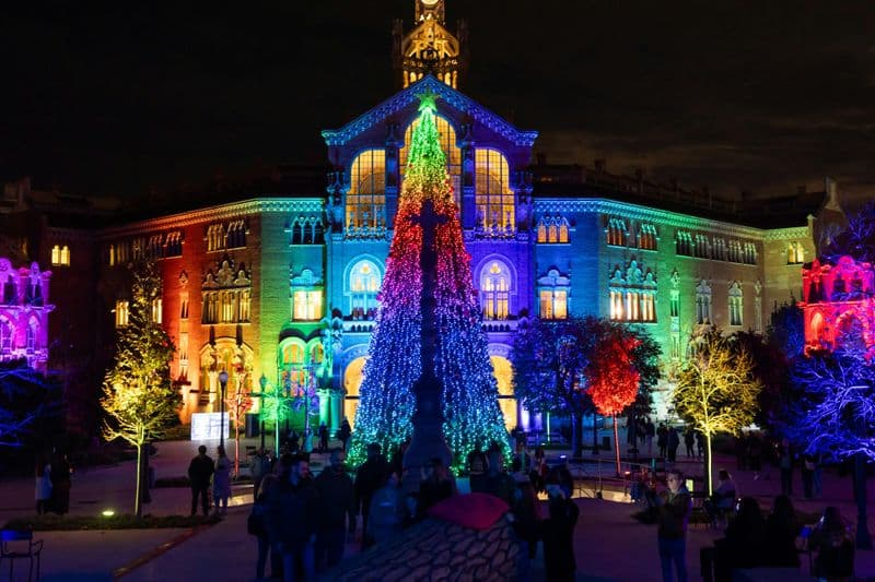 Billet Els Llums de Sant Pau : Christmas Garden