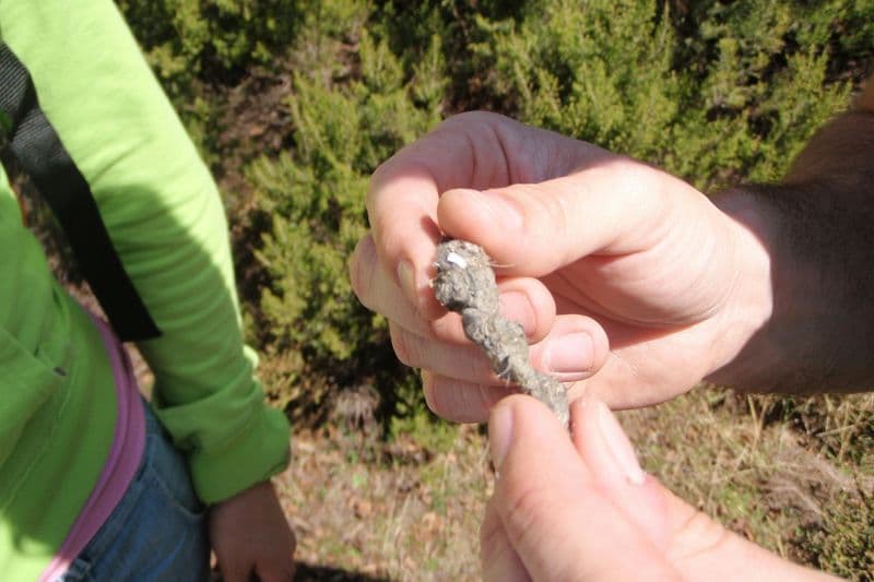 Billet Parc naturel d'Alvão : Visite guidée