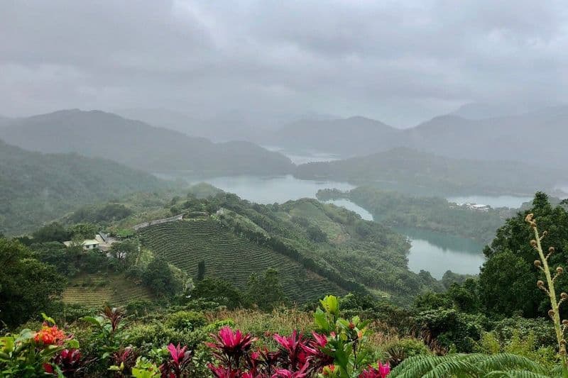 Culture du thé Pinglin et Maokong : Visite guidée d'une journée au départ de Taipei + promenade en gondole