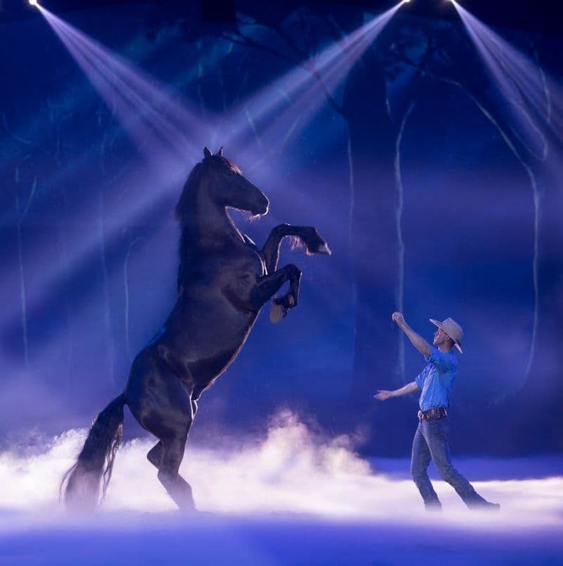 Billet Australian Outback Spectacular : Dîner-spectacle