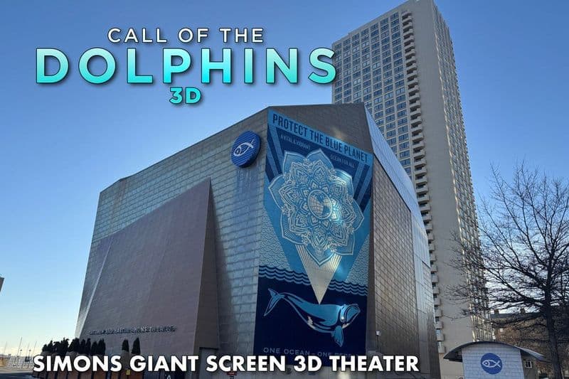 Théâtre Simons : Le film Call of the Dolphins en 3D