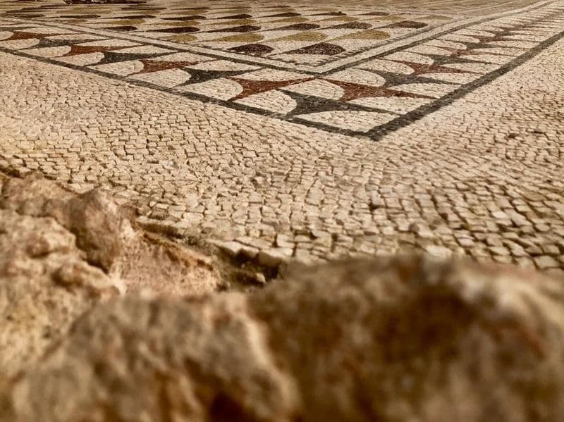 Billet Site archéologique de la Villa romaine de Fuente Álamo : visite guidée audio