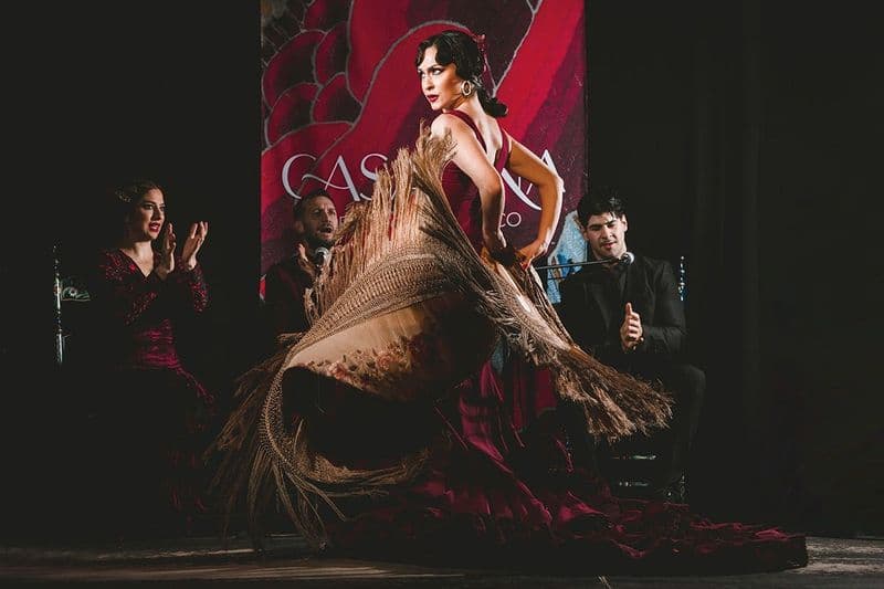 Billet Casa Ana Granada : Spectacle traditionnel de flamenco