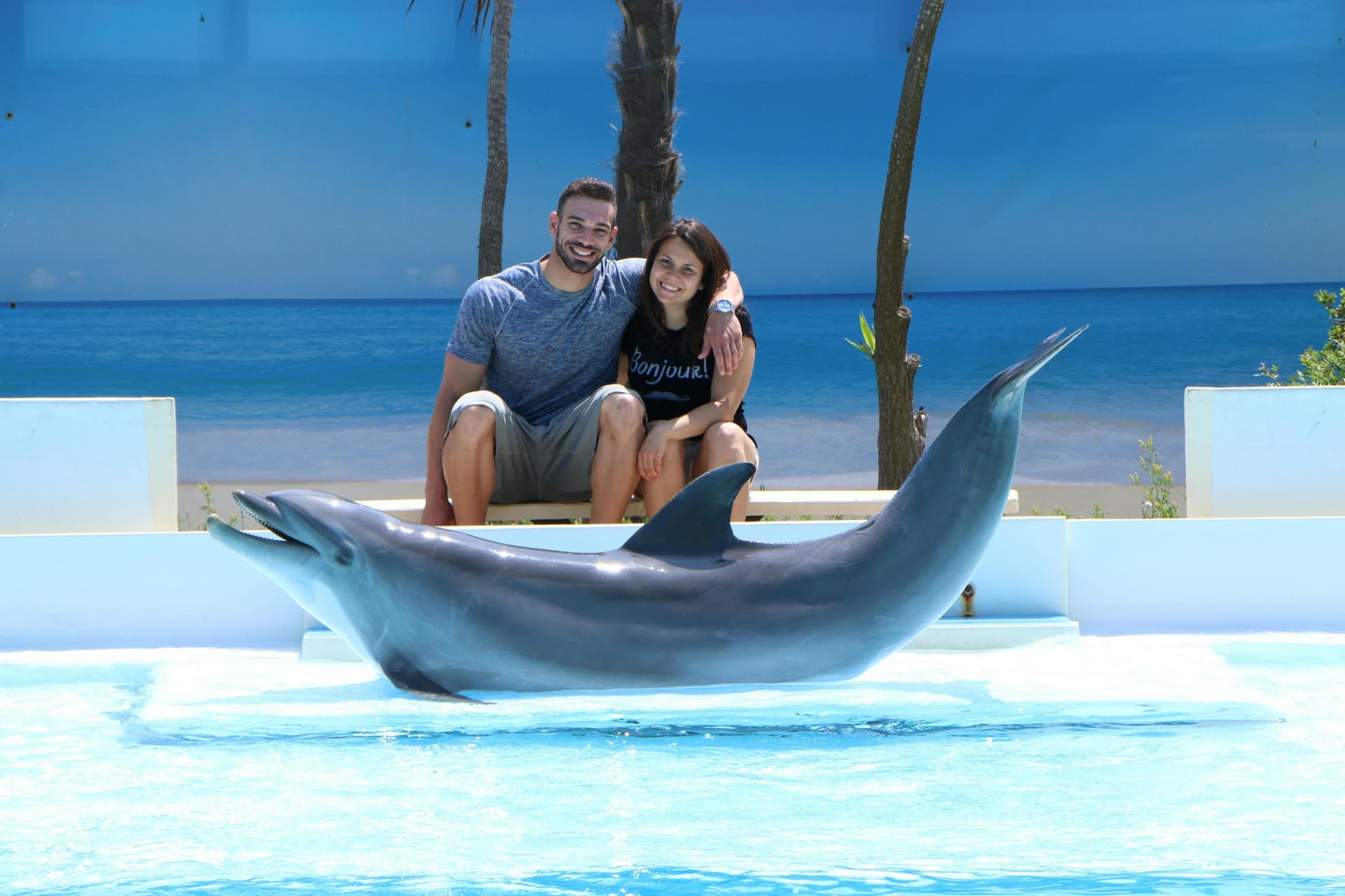 Zoomarine Roma : Entrée réservée et expérience avec les dauphins