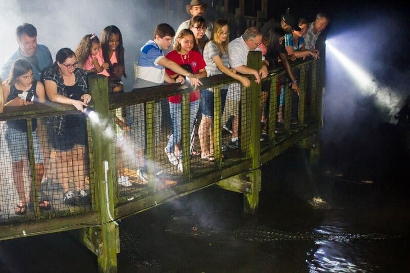 Billet Gatorland Orlando : La nuit des alligators