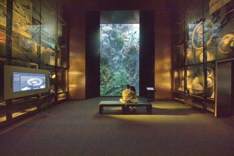 Billet La Cité de la Mer : Billet d'entrée + Audioguide