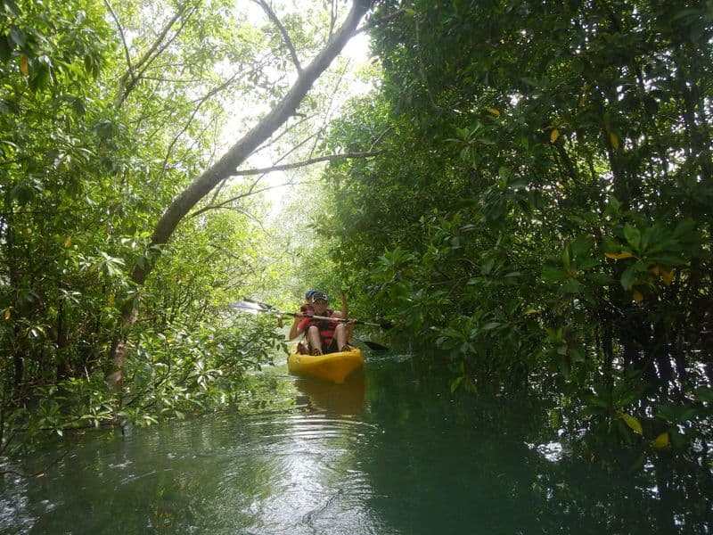 Billet Pulau Ubin: excursion d'une journée en kayak et à vélo avec déjeuner