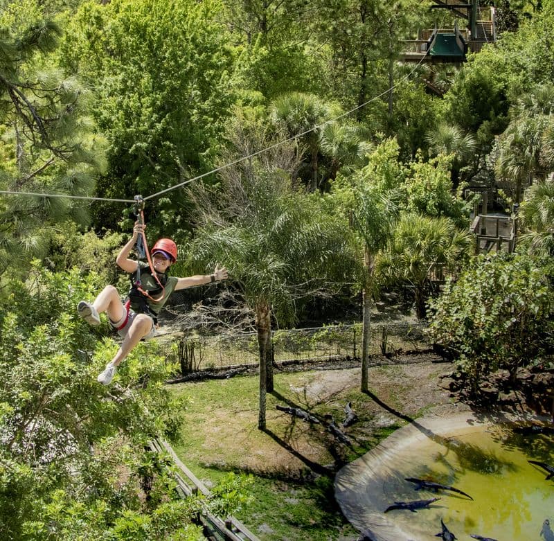 Gatorland Orlando : tyrolienne Screamin' Gator