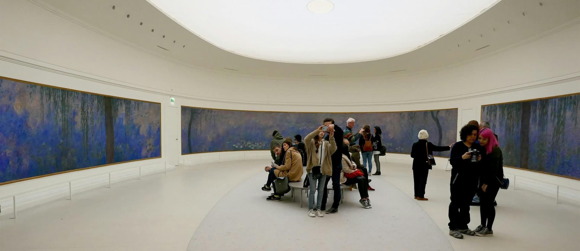 Billet Musée de l'Orangerie : Visite guidée en petit groupe en anglais