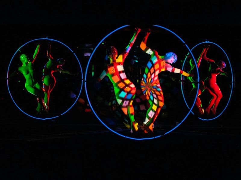 Crazy Horse Paris : Spectacle seul