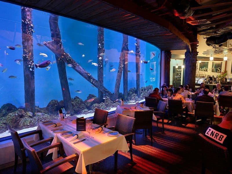 Billet Cairns Aquarium by Twilight with Dinner
